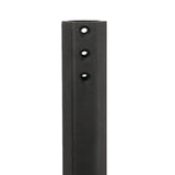 Main pole