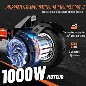 TODIMART S8 Scooter Électrique Tout-Terrain
