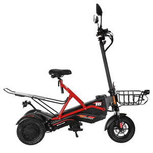 Todimart F020 Dual motor Mobility Scooter