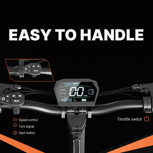 TODIMART S9 Off-Road Electric Scooter