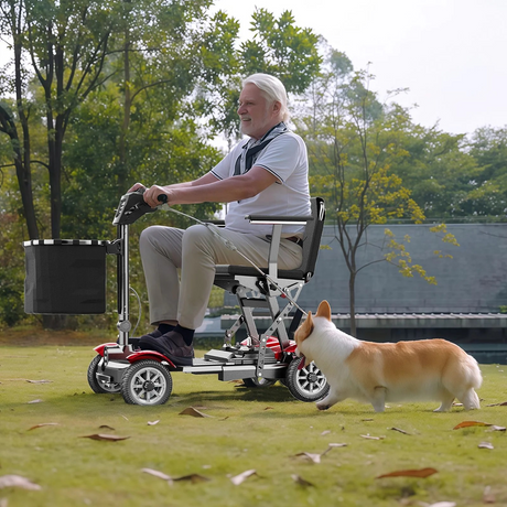 TODIMART YL-211A Elderly mobility scooter